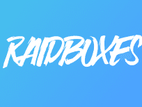 Raidbox Logo _ klein