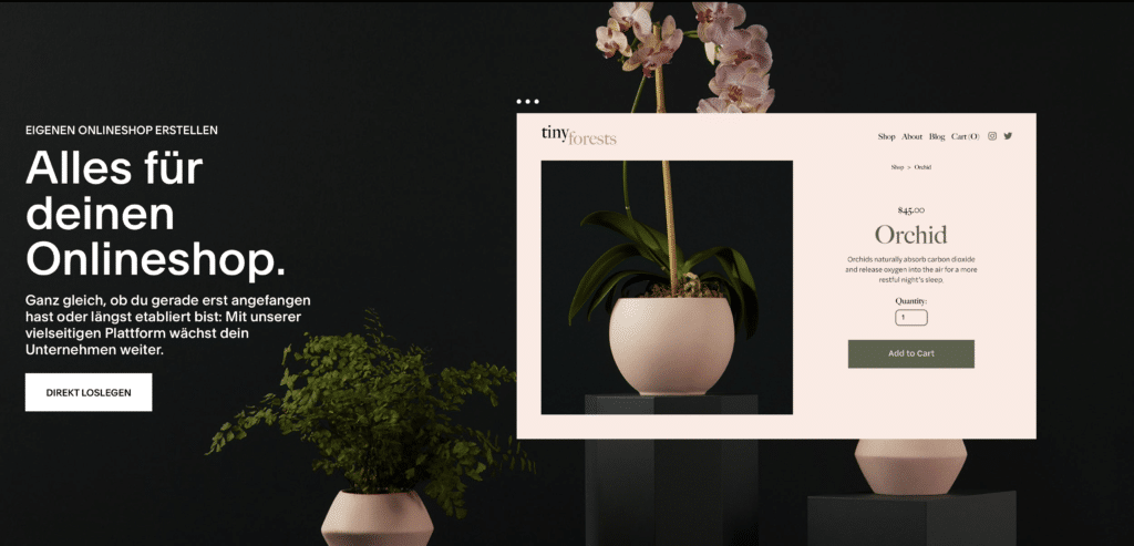 Squarespace Online Shop