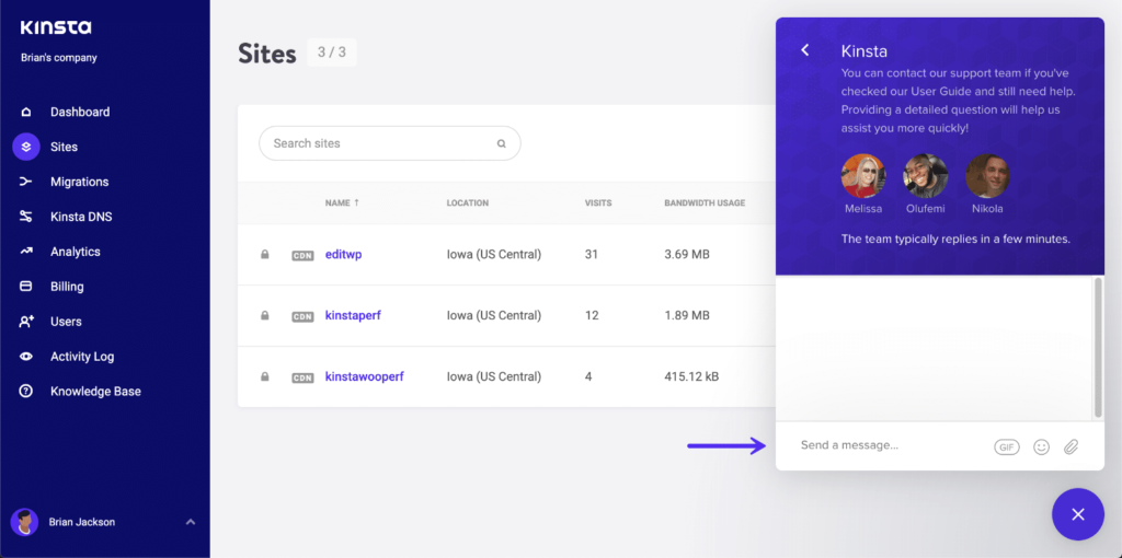 LiveChat Support - Kinsta