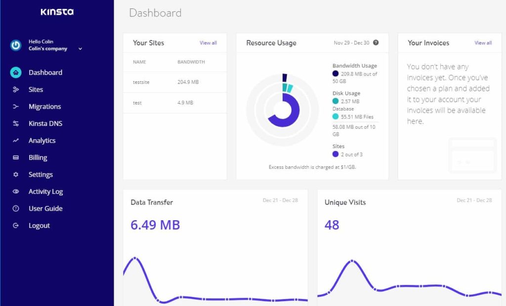 MyKinsta Dashboard