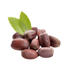 Jojoba Öl in Goji Cream