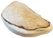 Mangosamen in Slimy Liquid