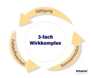 Vitalrin dreifachen Wirkkomplex