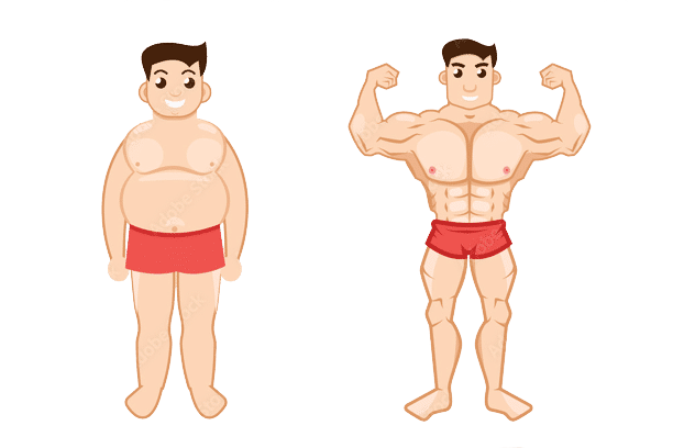 Clenbuterol Ergebnisse vorher und nachher
